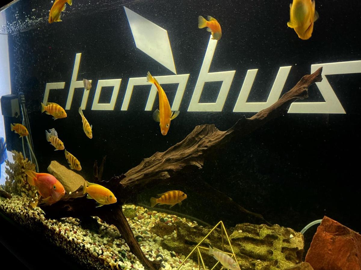 Rhombus Hotel Луцк Экстерьер фото